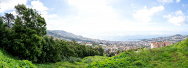 Unique Charming Farm In Funchal, Property for sale in PP173340