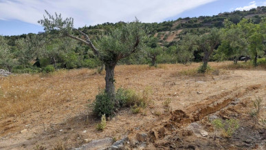 Exceptional Plot In São Brás De Alportel, Property for sale in PP175035
