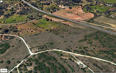 A unique viticulture investment opportunity in the Algarve, Property for sale in PP175338