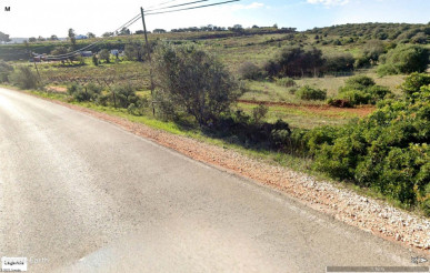 A unique viticulture investment opportunity in the Algarve, Property for sale in PP175338