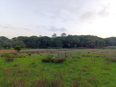 Unique Prime Building Location In National Park 2km From Faro Airport, Property for sale in PP175444