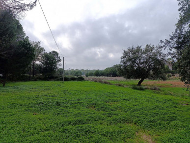 Unique Prime Building Location In National Park 2km From Faro Airport, Property for sale in PP175444