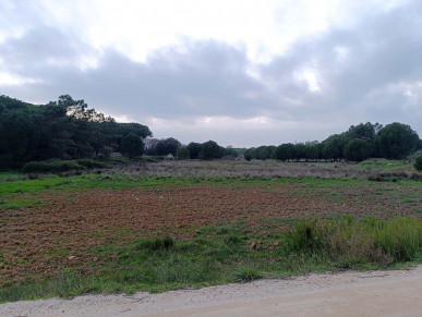 Unique Prime Building Location In National Park 2km From Faro Airport, Property for sale in PP175444