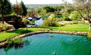 Outstanding Country Estate In The Heart Of The Algarve – With Commercial Golden Visa Licence, Property for sale in PP175844
