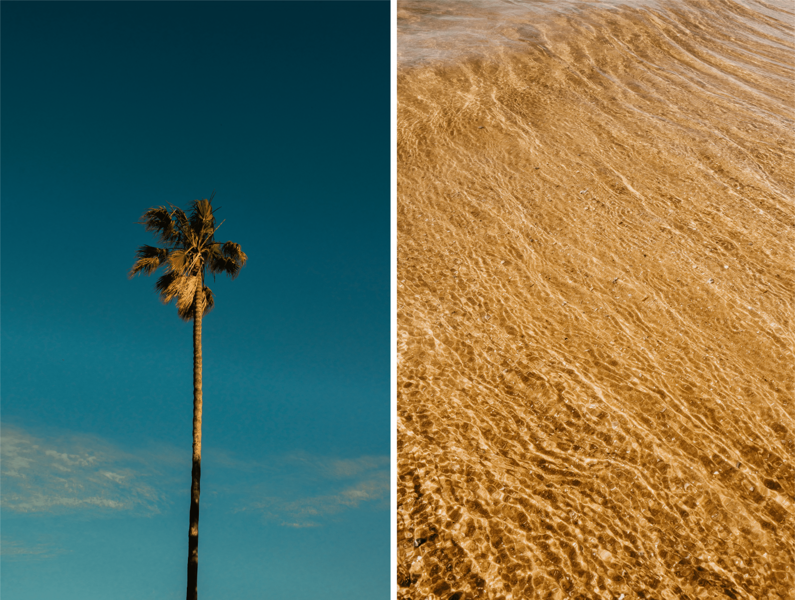 Things that you can see at the Algarve beaches - palm tress and golden sand.