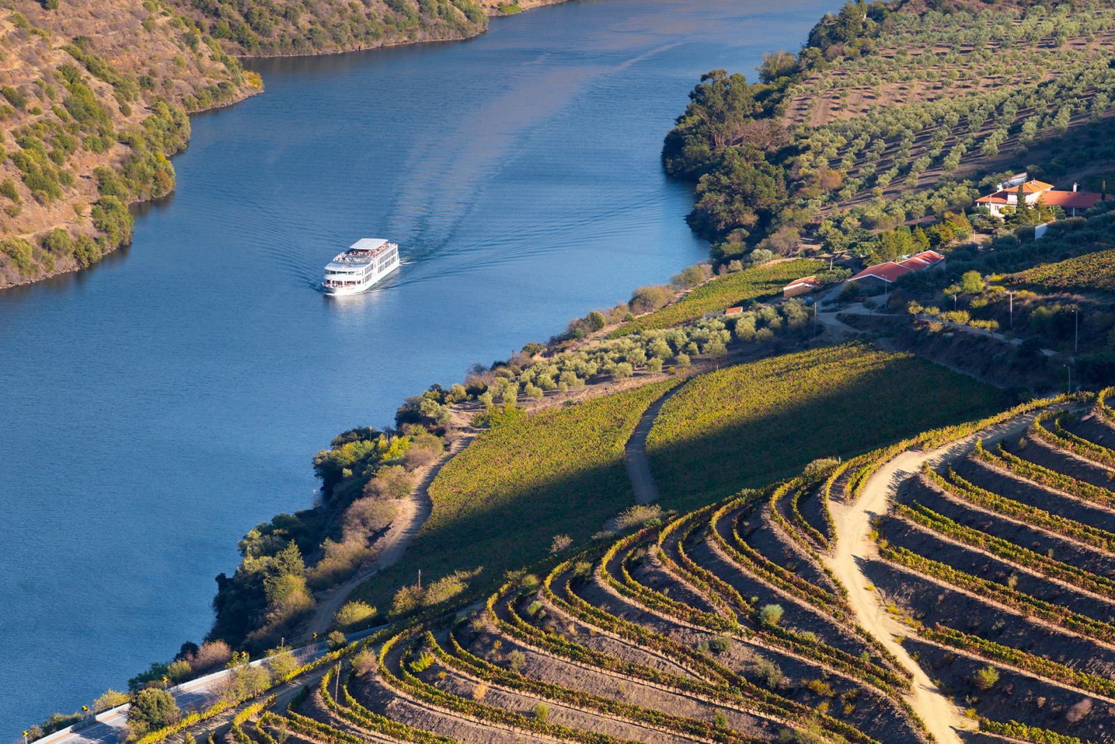 Sun drenched hills in the Douro area.