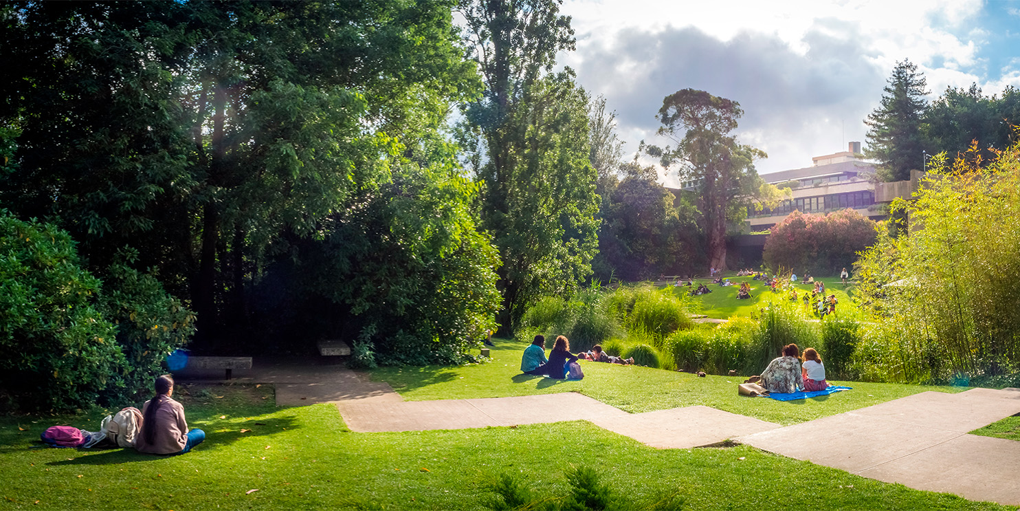 Jardim Calouste Gulbenkian, Garden Calouste Gulbenkian, Lisbon