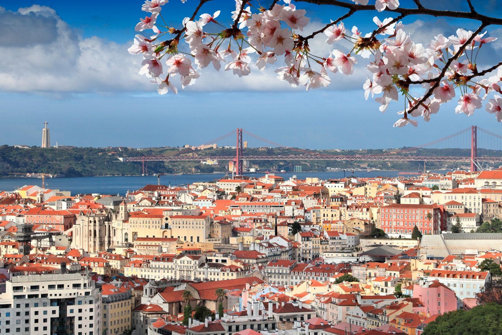 Look at Lisbon's landscape from below a blossoming tree in spring time.