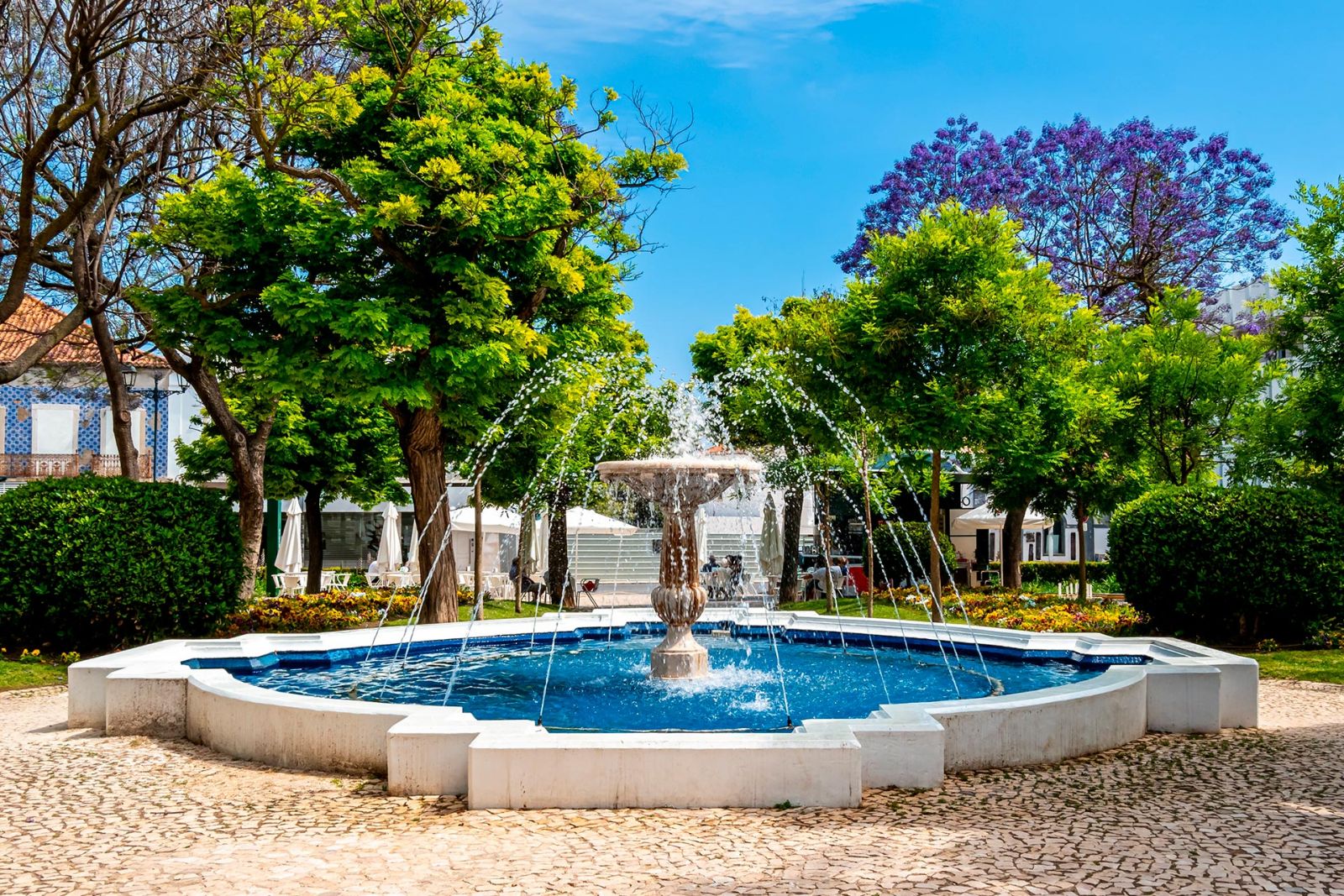 Garden in Portugal during spring.