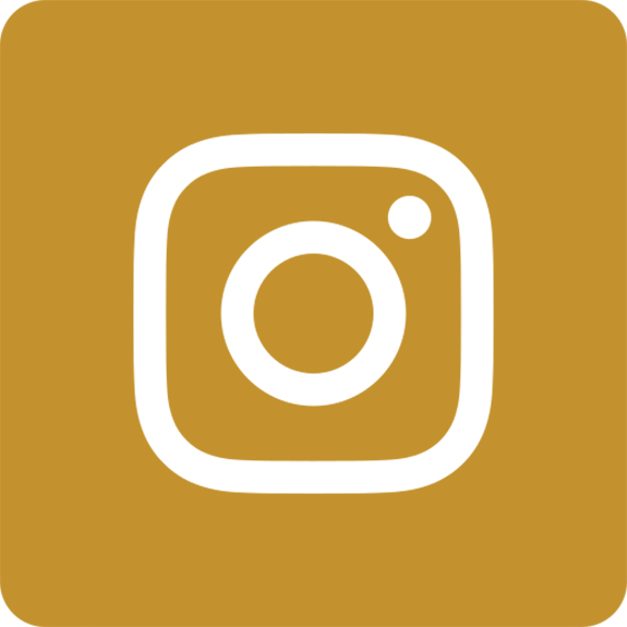 Instagram icon