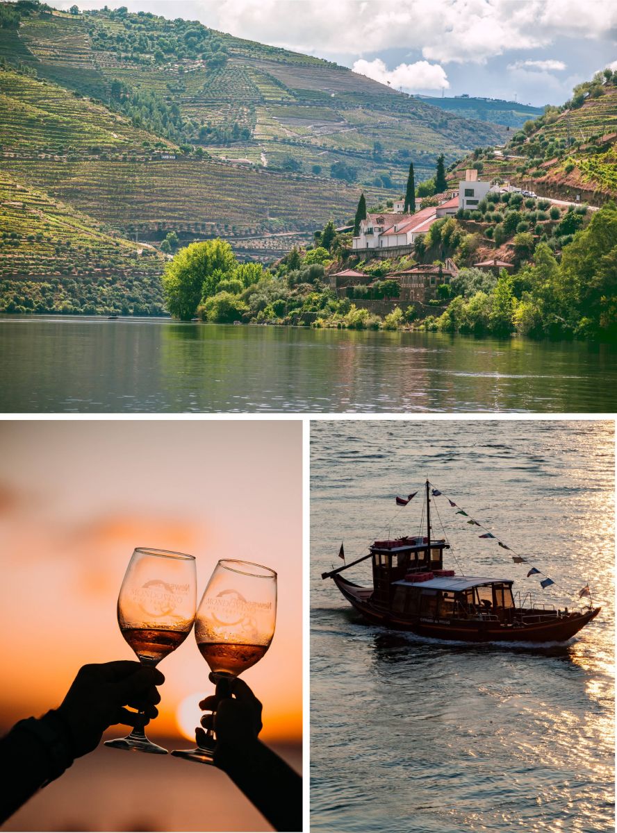 Douro Valley Wine Tasting Cruise in Porto Region.