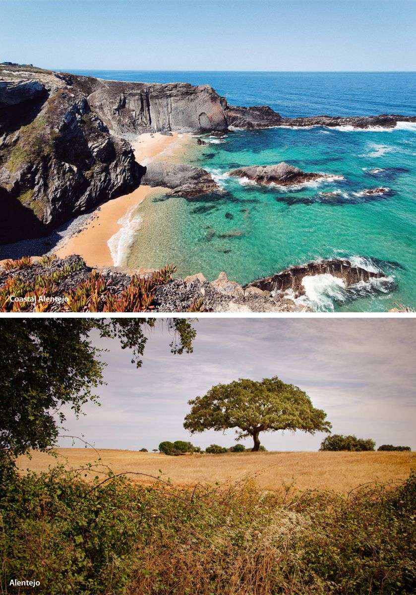 Coastal and rural part of Alentejo region.