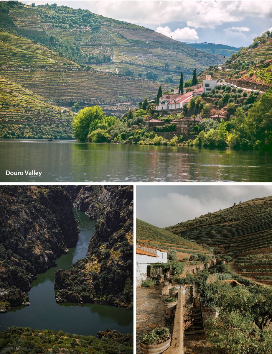 Douro valley in Portugal.
