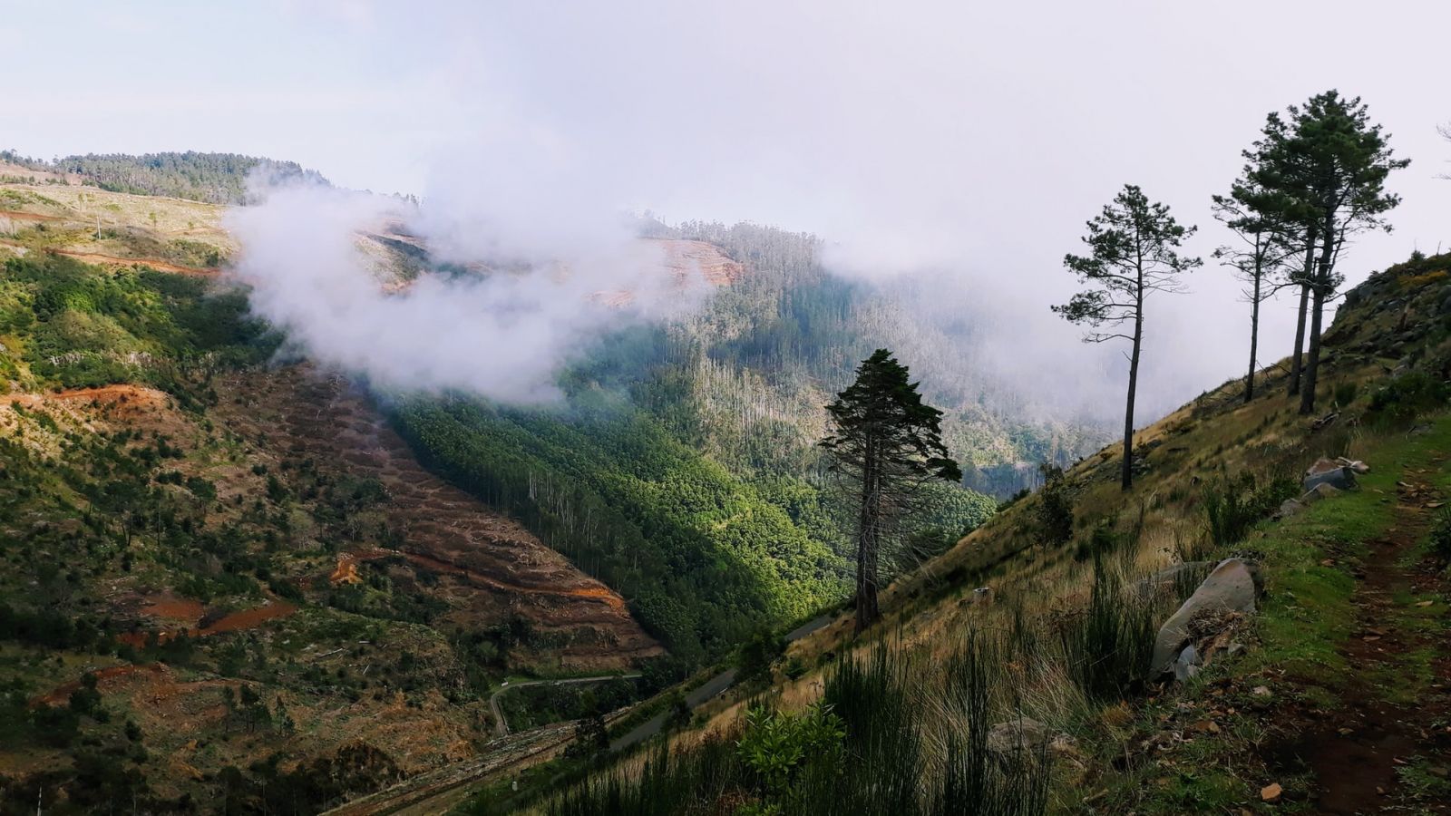 Ecological Park of Funchal in Madeira, a beautiful spot for a holiday home near nature