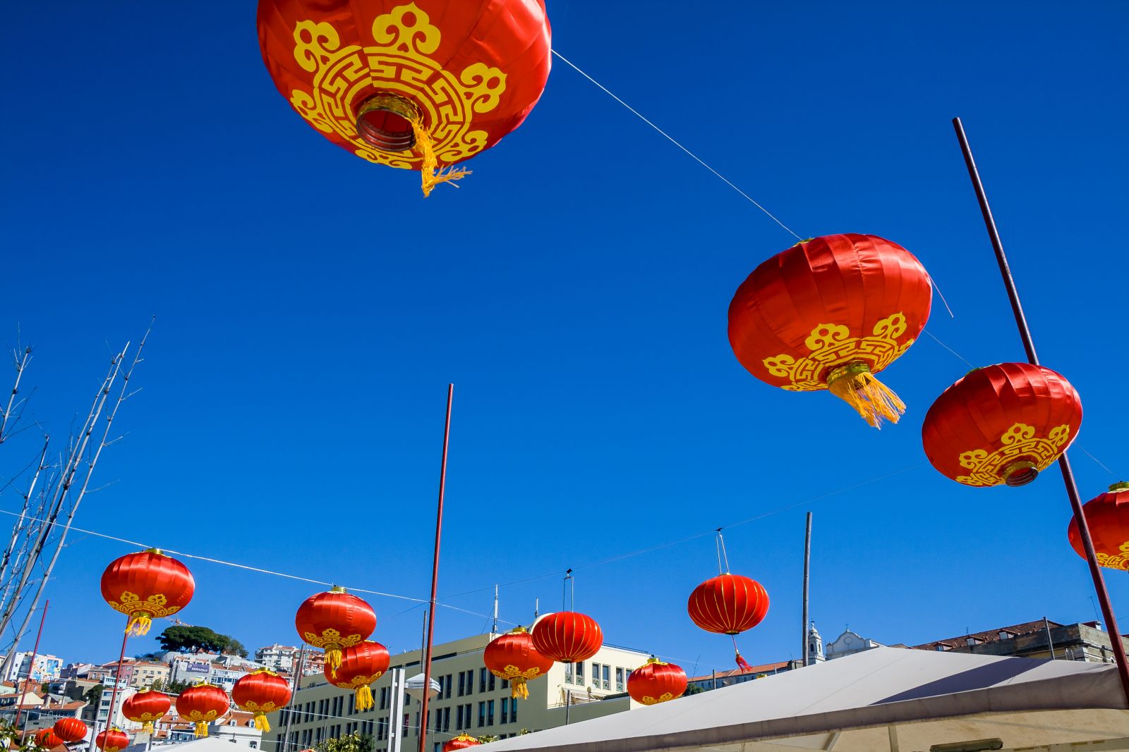 Lisbon Chinese New Year