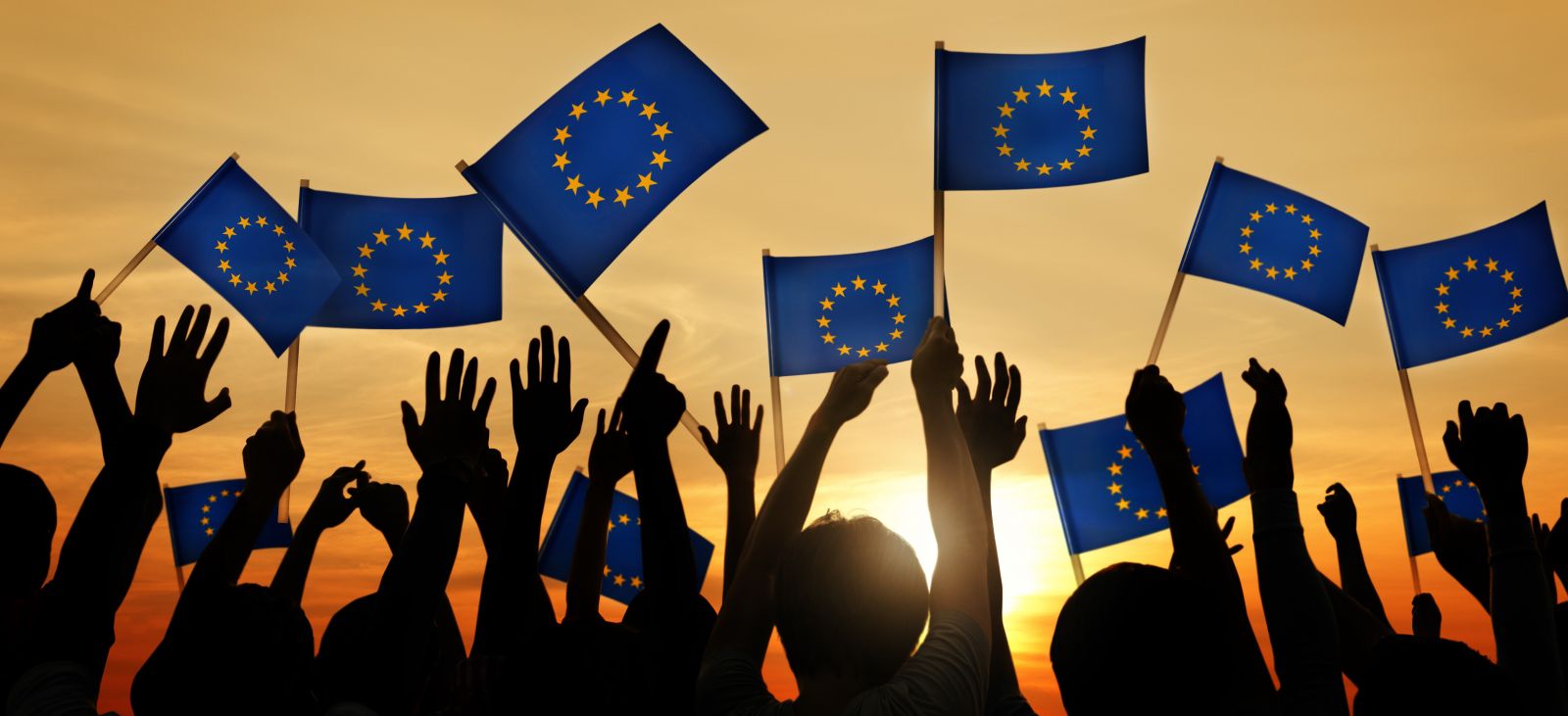 Crowd with EU flags.