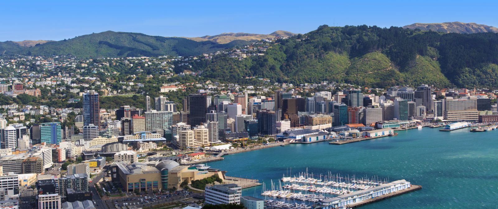 Landscape of New Zealand's city.